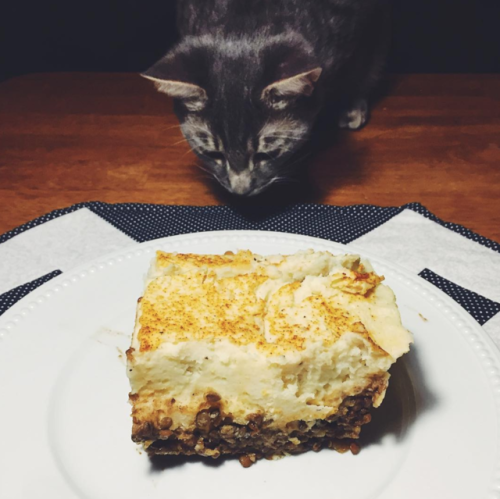 Lentil shepherd’s pieinstagram.com/thecoloradoavocado