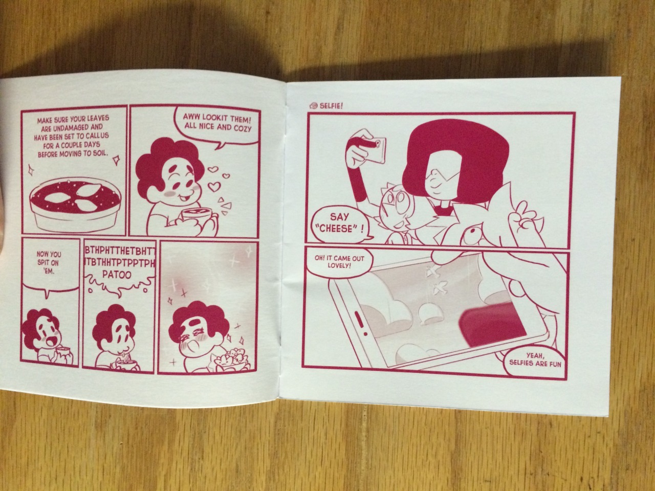 gaygemgoddess:    SDCC Exclusive Steven Universe Zine by Lauren Zuke and Mira W.