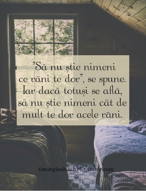 timingisabitch17:  Jurnalul Unei Anonime 