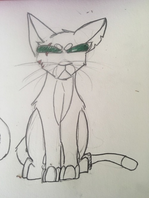 Some Sketches Of Two Old Warriors Characters. The One On The Left Is A Medicine Cat Apprentice Vulturepaw