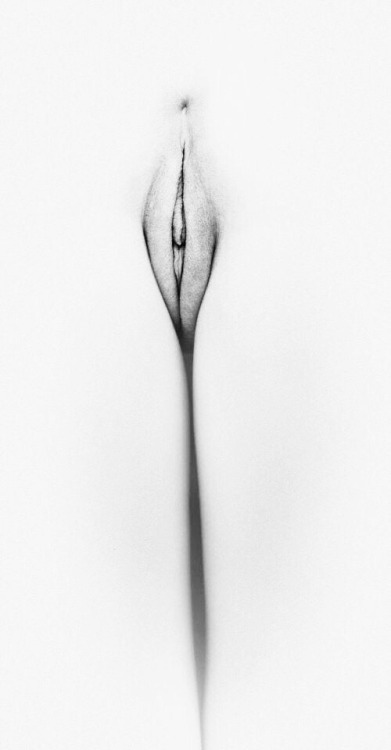 ivannightfire:  ♦️♣️🃏Snow White