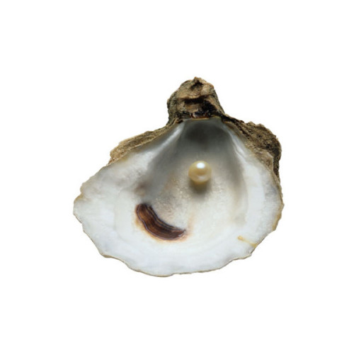 mercurieux: Geen titel (clipped to polyvore.com)