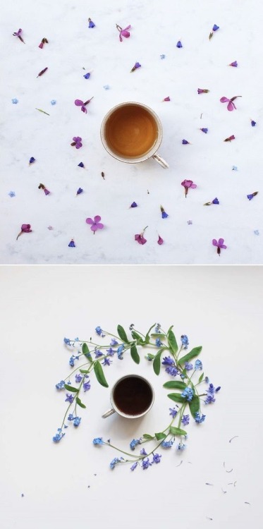 bibliophilebunny: blooming tea