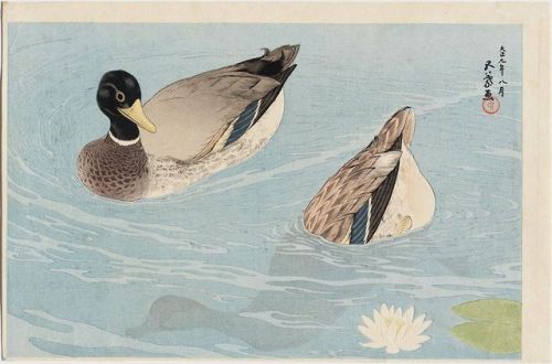 Two Ducks, Hashiguchi Goyo, 1920