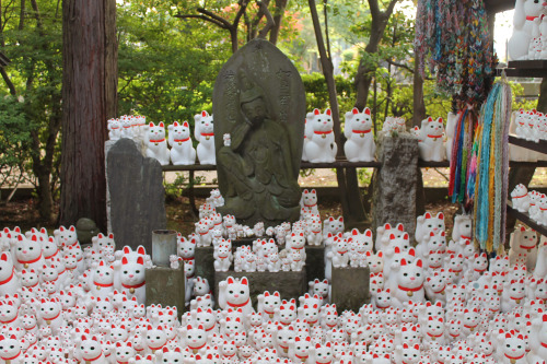 hannapham:  Maneki Neko overload in Gotokuji Temple