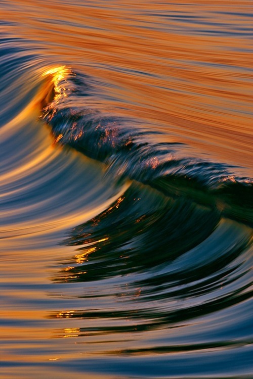 asylum-art:  David Orias’s California Waves Facebook | 500px Golden waves and other