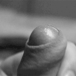 iluv2freeball:  topcbt:  Follow Top for Subs at http://topcbt.tumblr.com/  http://iluv2freeball.tumblr.com/