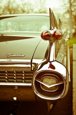 showyou-myway:  Cadillac