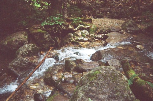 spiritology:  we are constant  