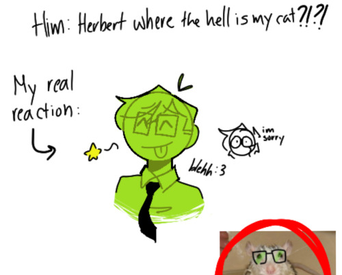 I Take Reanimator Very Seriously I Promise.