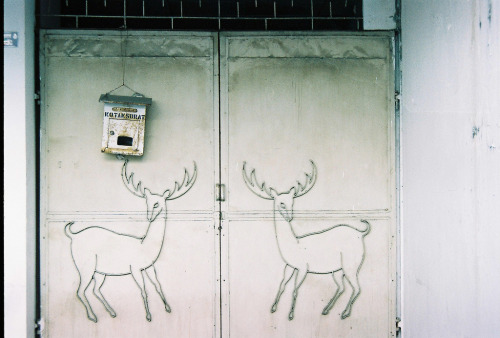 hawxr:  (by Astrid Prasetianti)