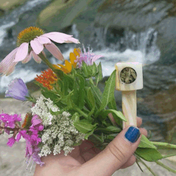 Bre-Is-Stoned:  Weed, Wildflowers, And Waterfalls