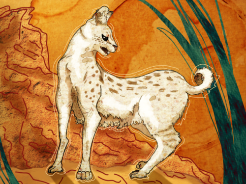 misqart: a white serval (Pharaoh, specifically!) for an assignment at School….,, quite Proud of it @