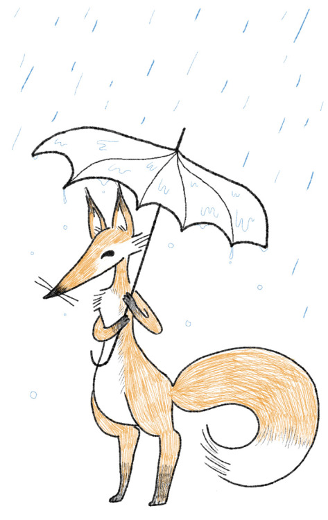 beatricemomo: Day 102, mister fox. After the rain, here comes the sun :)