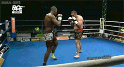 mma-gifs:  No Limit 7: Dževad Poturak vs.