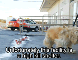 huffingtonpost:  This makeover literally saved Charlie’s live. See the full video