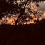letsdosomethingdifferentthistime