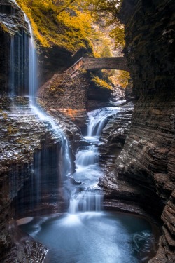 porcvpine:  Watkins Glen | Jonny Finkel 