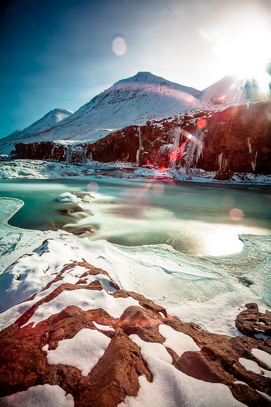 musts:  happy holidays by Helga Kvam 