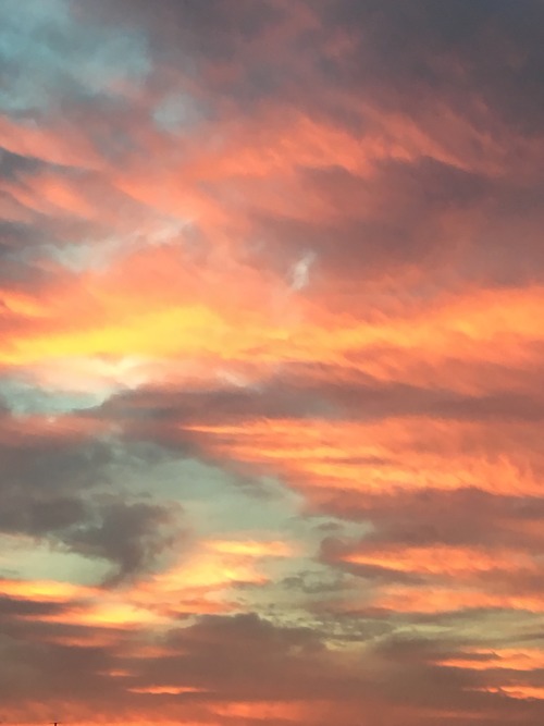 schuylerelizas:sunset (2/18/16)