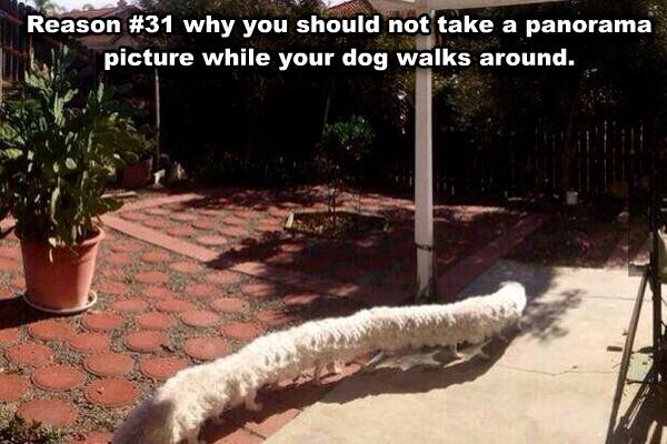 Just Funny Pictures