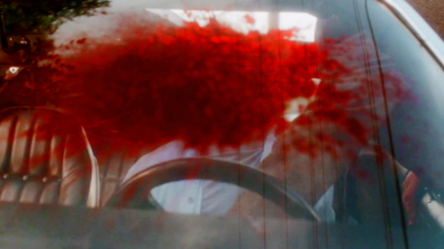 Stephen King’s Sleepwalkers, 1992, dir. Mick Garris.