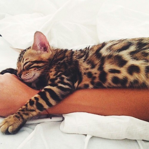 A Boy Dreaming