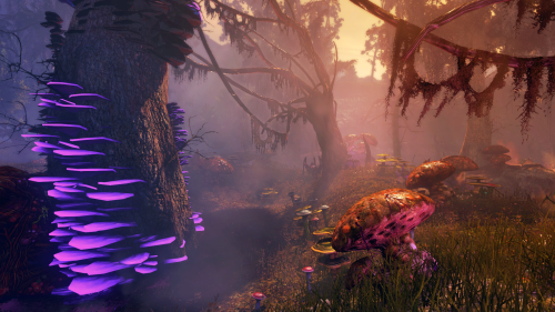 The Secret World, The Shadowy Forest.
