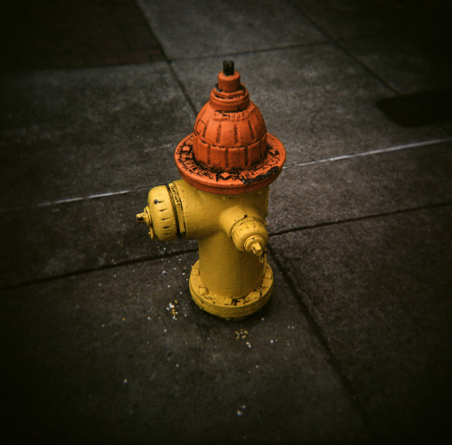 Scenes from a Small Town SquareShot on Kodak Portra 400 film with a Holga 120N camera