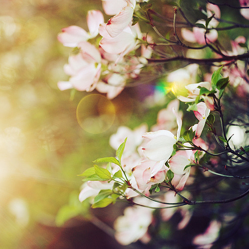 timefliestoday:  sem título by kevin russ on Flickr. 