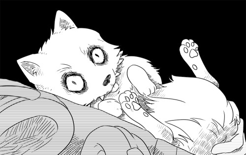 magemg:  o<-< 