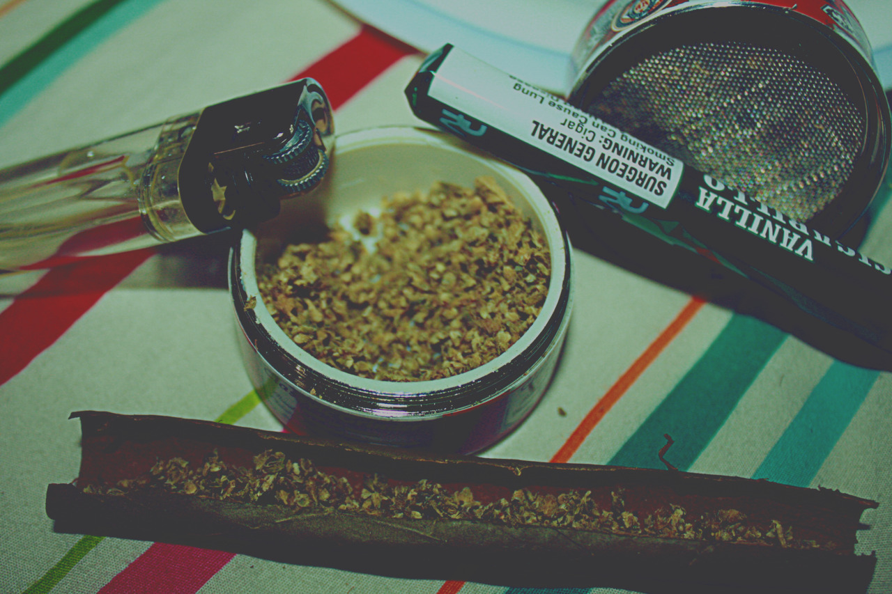dank-tom:GET DANK HERE B-) http://j.gs/56mW