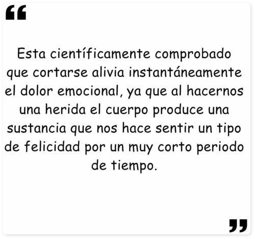 Estúpido amor que siento por ti