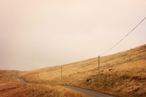jacindaelena: Wyn Evans