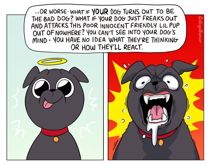 pr1nceshawn:  The Worst Part About Owning A Dog.