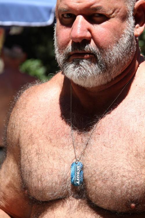 Bears, daddy, handsome older man, mature man