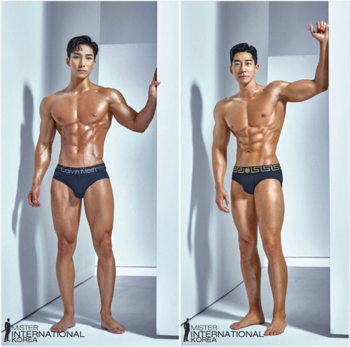 artoffreddieniem-blog:【Mister International Korea 国际先生大赛选手韩国选区泳装花名册（选）】（我选发的精选18位）记得吗？去年的竞赛选手都被P在芭比娃