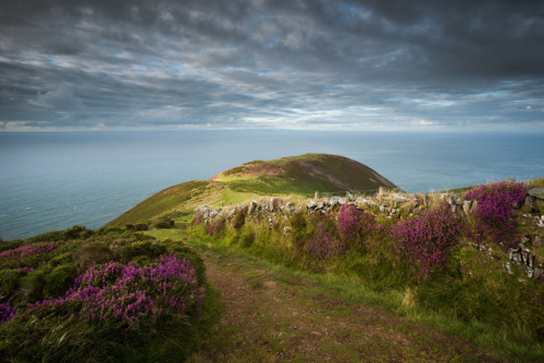 drxgonfly:   Lynmouth Bay (by Edd Allen)  