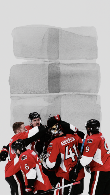 Ottawa Senators /requested by @smilesnic/