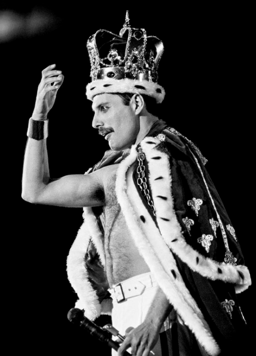 ramimalek:Freddie Mercury at Wembley Stadium, photographed by Lynn Goldsmith (1986) Legend!!