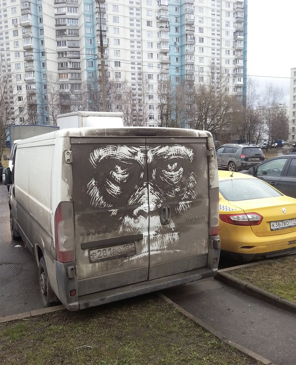 itscolossal:  Animals Etched onto Dirty Cars by Illustrator Nikita Golubev