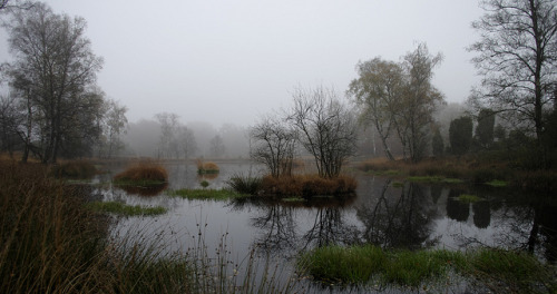 Quiet Morning by Kees Verburg on Flickr.