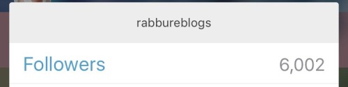 rabbureblogs:  Another milestone! Thanks for following everyone! Enjoy some rabbutts   < |D’‘‘‘