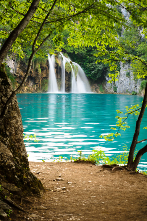 woodendreams:  (by Sergiu Bacioiu) 