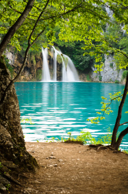 magicalnaturetour:   	Plitvice Lakes National Park by Sergiu Bacioiu    	Via Flickr: 	