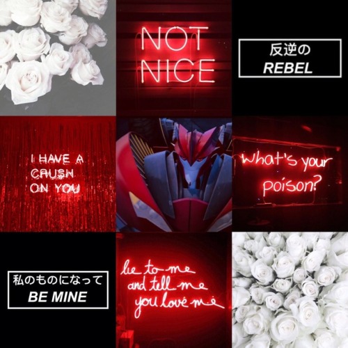 Tfp Decepticon Moodboards