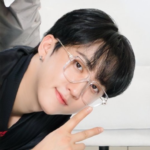 Stray Kids Matching Icons/metadinhas.