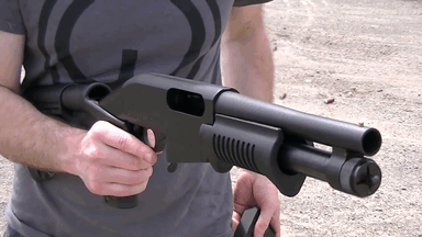 gunrunnerhell:  Dominion Arms Grizzly