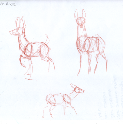 XXX Some of the water deer studies I did today, photo