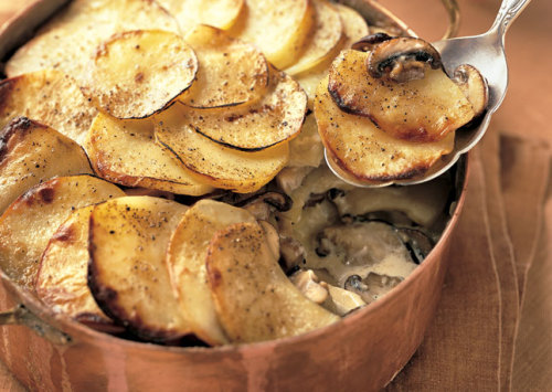 foodopia:Potato and Wild Mushroom Gratin 